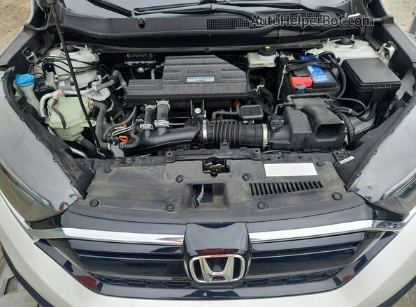 7FARW2H21LE004236 2020 HONDA CR-V White Սալոնի հետևի տեսք