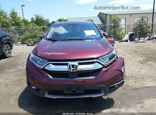 7FARW2H52KE021569 2019 HONDA CR-V Бордовый Вид задней части салона