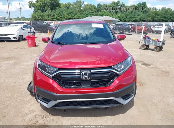 7FARW2H53ME018246 2021 HONDA CR-V Red Вид задньої частини салону