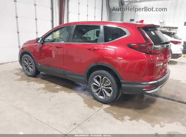 7FARW2H54LE010218 2020 HONDA CR-V Red უკანა მარცხენა