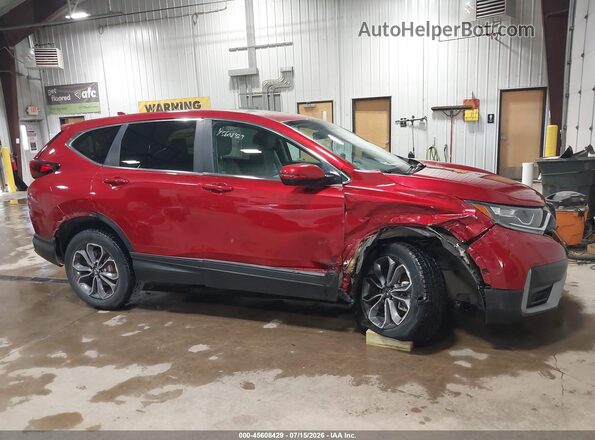 7FARW2H54LE010218 2020 HONDA CR-V Red უკანა სალონის ხედი