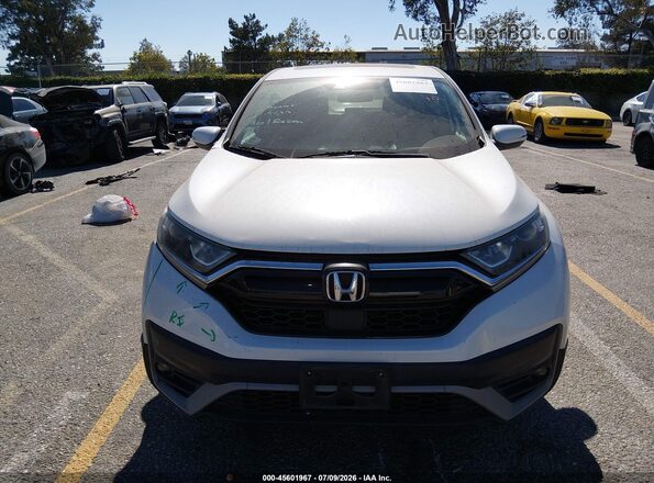 7FARW2H54LE011496 2020 HONDA CR-V Белый Вид задней части салона