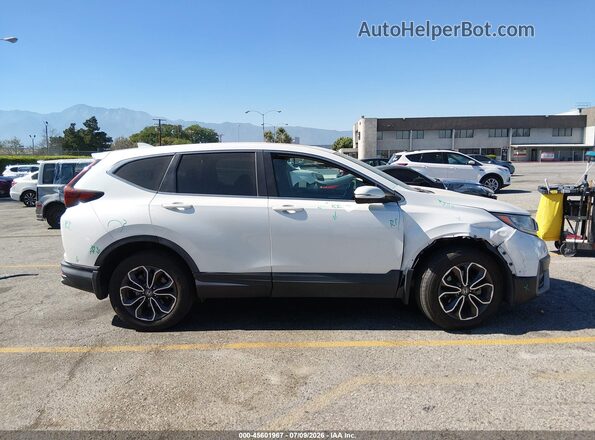 7FARW2H54LE011496 2020 HONDA CR-V Белый Панорамный вид салона 360°