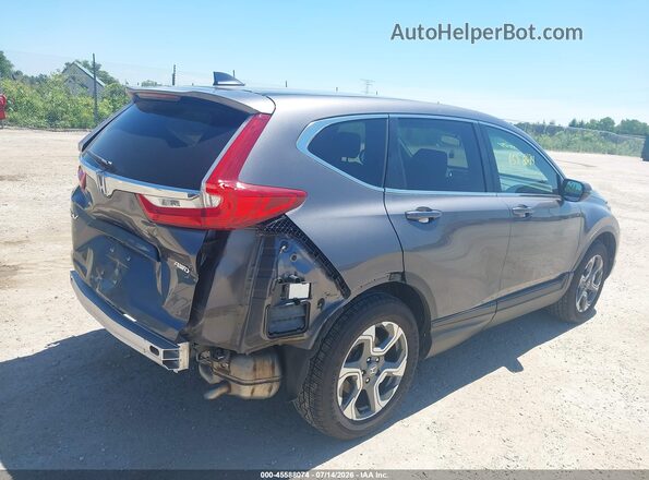7FARW2H55KE014907 2019 HONDA CR-V Gray უკანა მარჯვენა