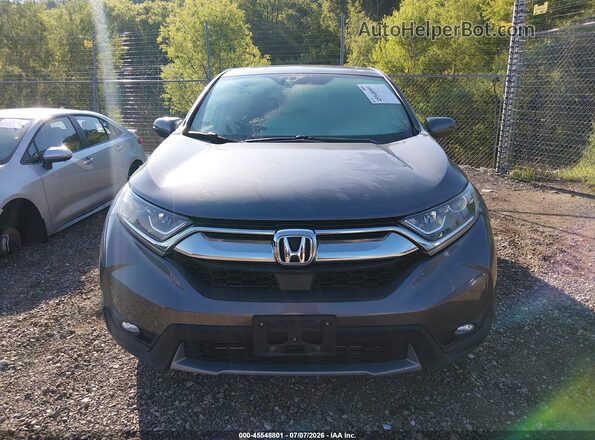 7FARW2H5XJE068301 2018 HONDA CR-V Серый Вид задней части салона