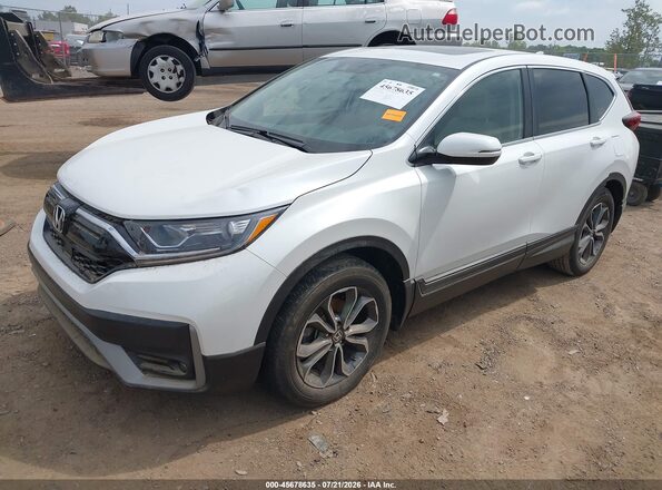 7FARW2H5XNE051777 2022 HONDA CR-V White Tył prawy
