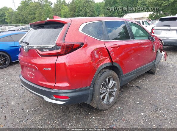7FARW2H82NE047068 2022 HONDA CR-V Red Հետևի աջ