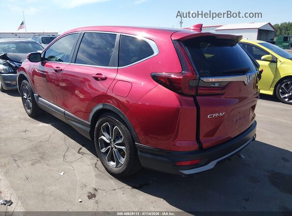 7FARW2H86LE016550 2020 HONDA CR-V Red Հետևի ձախ