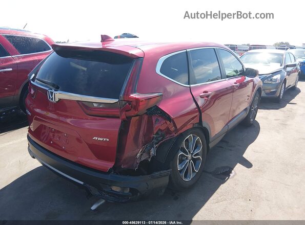7FARW2H86LE016550 2020 HONDA CR-V Red Հետևի աջ