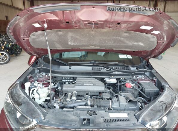 7FARW2H8XKE044379 2019 HONDA CR-V Maroon Вид ззаду