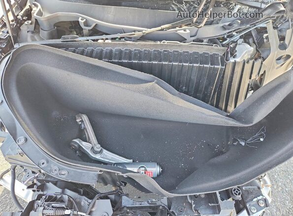 7SAXCAE55SF466112 2025 TESLA MODEL Gray Rear interior view