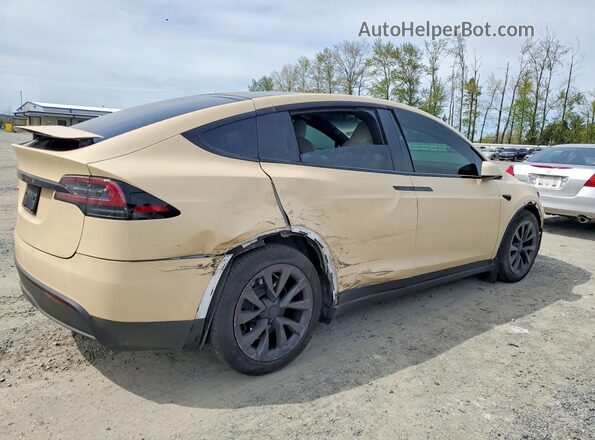 7SAXCBE51PF403490 2023 TESLA MODEL Cream Trasero derecho