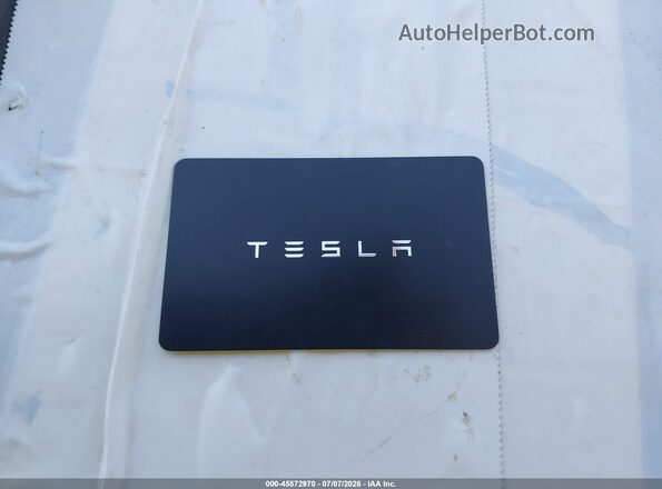 7SAYGAEE8RF170164 2024 TESLA MODEL Y Gray Widok z tyłu