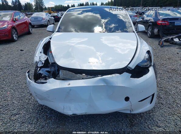 7SAYGAEE9PF884124 2023 TESLA MODEL Y White Widok wnętrza z tyłu