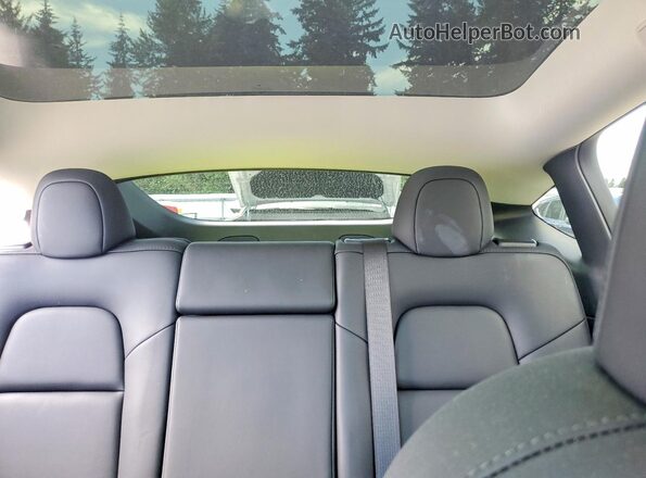 7SAYGAEE9PF971523 2023 TESLA MODEL Gray Вид задніх сидінь
