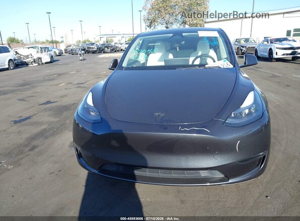 7SAYGAEEXSF246232 2025 TESLA MODEL Y Gray Widok z tyłu