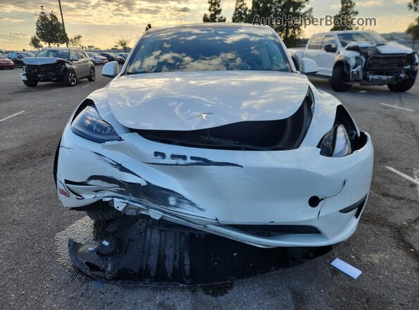 7SAYGDED0RF055390 2024 TESLA MODEL White Front view