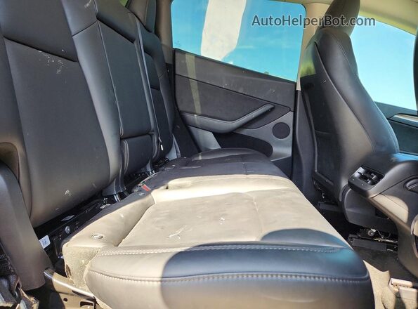 7SAYGDED2RF155667 2024 TESLA MODEL Blue Widok tylnych siedzeń