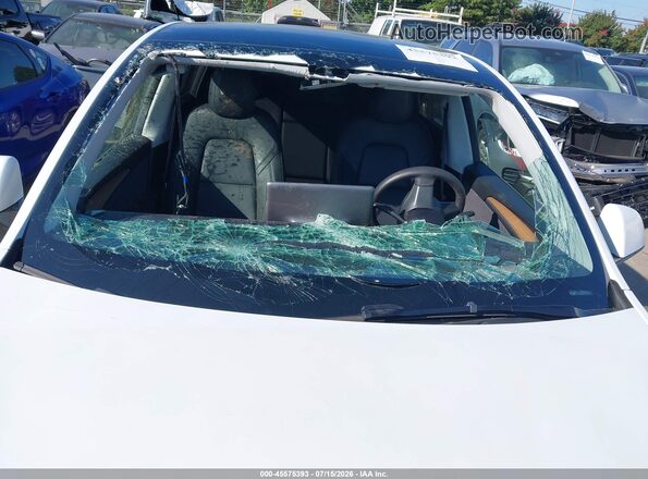 7SAYGDED2SA339431 2025 TESLA MODEL Y Белый Вид спереди