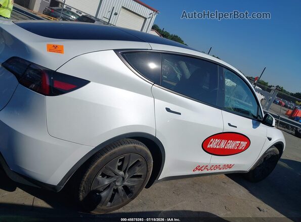 7SAYGDED2SA339431 2025 TESLA MODEL Y Белый Вид щитка приборов