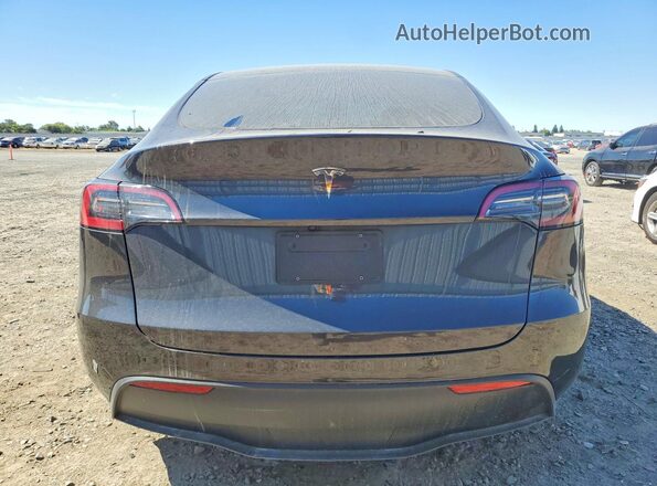 7SAYGDED2SF259629 2025 TESLA MODEL Gray Вид ззаду