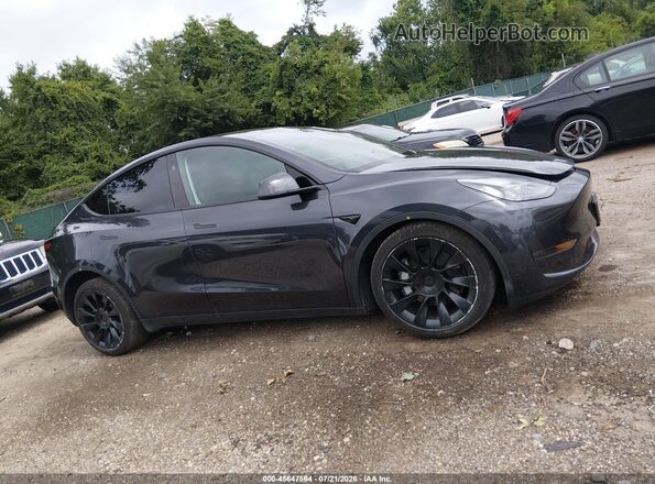 7SAYGDED3SF223481 2025 TESLA MODEL Y Gray Widok wnętrza z tyłu