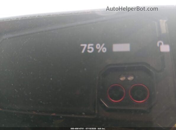 7SAYGDED7RF017154 2024 TESLA MODEL Y Blue 