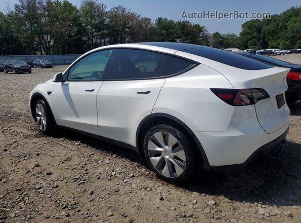 7SAYGDEDXRF084220 2024 TESLA MODEL White Задня ліва чверть