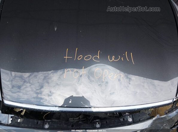 7SAYGDEDXTF548193 2026 TESLA MODEL Y Серый Вид сзади