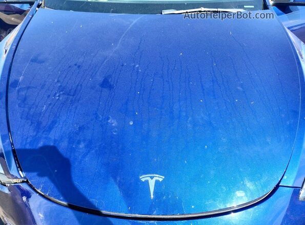 7SAYGDEE1PA124414 2023 TESLA MODEL Blue Սալոնի հետևի տեսք