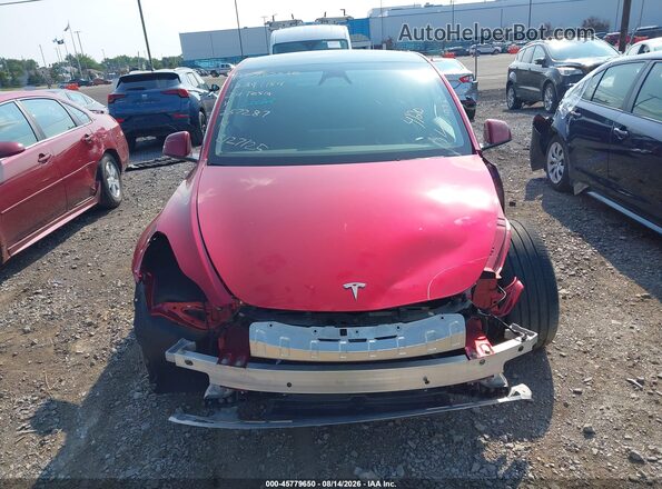 7SAYGDEE1RA257287 2024 TESLA MODEL Y Red Вид задньої частини салону