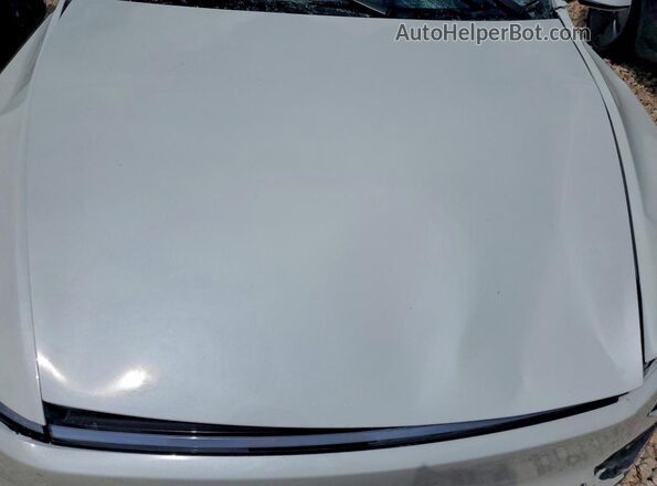 7SAYGDEE1TA395029 2026 TESLA MODEL Белый Вид задней части салона