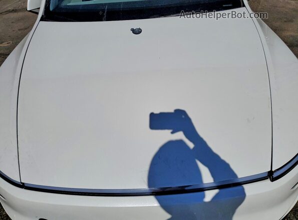 7SAYGDEE1TF336307 2026 TESLA MODEL White Vista interior trasera