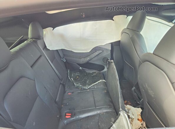 7SAYGDEE2TA634698 2026 TESLA MODEL Синий Вид задней части салона