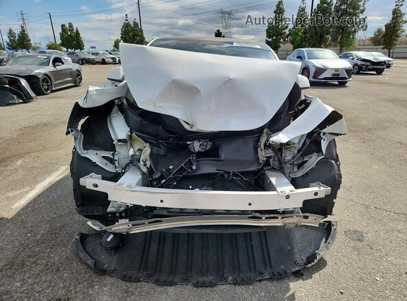 7SAYGDEE3RA239678 2024 TESLA MODEL Белый Вид спереди