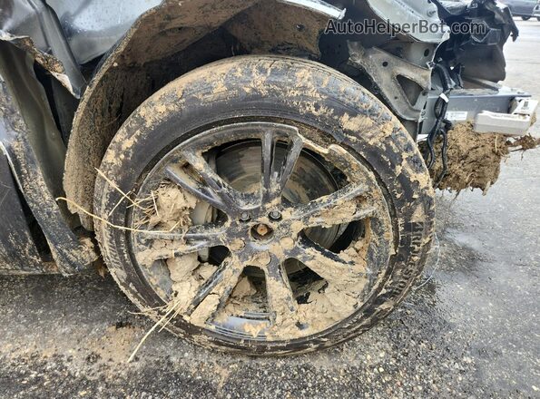 7SAYGDEE3SA361432 2025 TESLA MODEL Black 