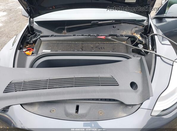 7SAYGDEE5SA358726 2025 TESLA MODEL Y Серый Вид сзади