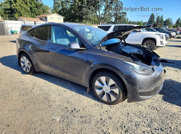 7SAYGDEE6RF081694 2024 TESLA MODEL Gray Przód prawy