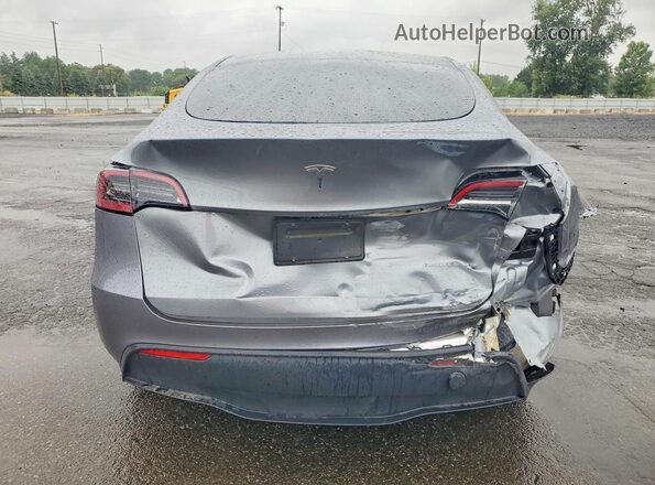 7SAYGDEE6SF297793 2025 TESLA MODEL Silver Вид ззаду
