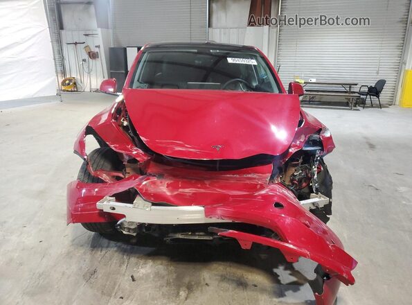 7SAYGDEE7PF668421 2023 TESLA MODEL Красный Вид спереди