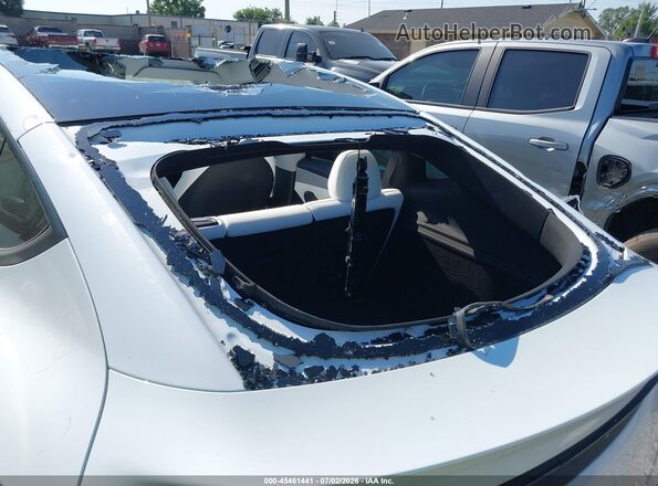 7SAYGDEE8TF339558 2026 TESLA MODEL Y Белый 
