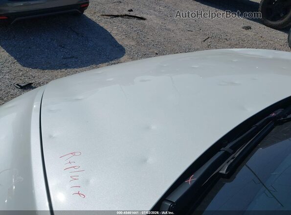 7SAYGDEE8TF339558 2026 TESLA MODEL Y Белый 