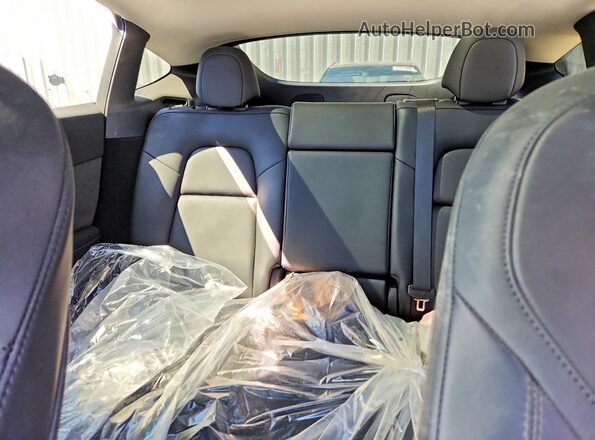 7SAYGDEE9PF648459 2023 TESLA MODEL Blue უკანა სავარძლების ხედი