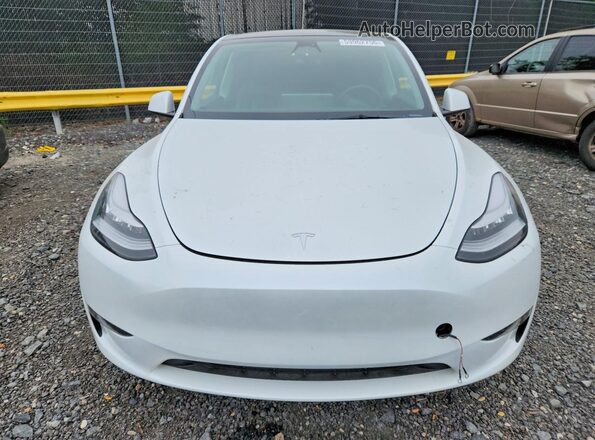 7SAYGDEEXPA060924 2023 TESLA MODEL White Widok z przodu