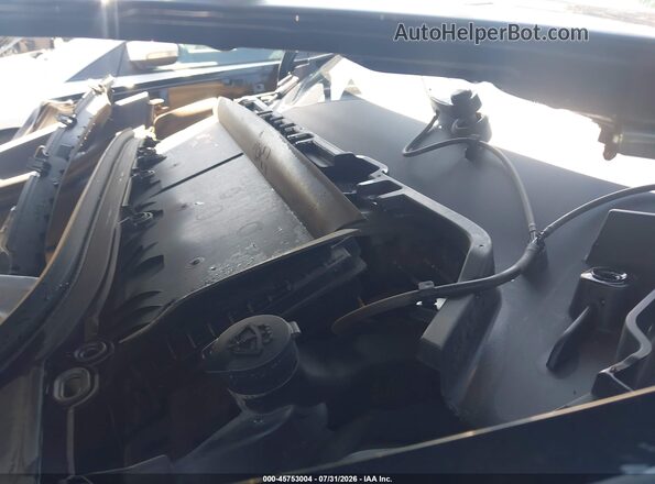 7SAYGDEEXPF706983 2023 TESLA MODEL Y Black Widok z tyłu