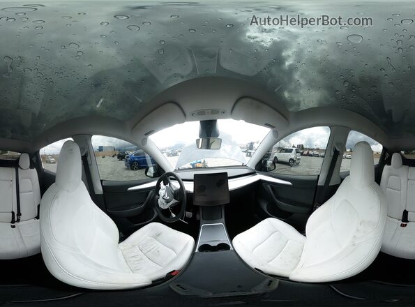 7SAYGDEF3RF066031 2024 TESLA MODEL Угольный 
