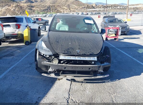 7SAYGDEF4PF640987 2023 TESLA MODEL Y Черный Вид задней части салона