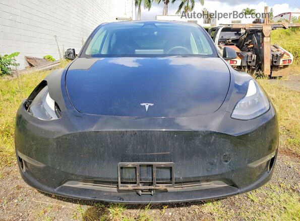 7SAYGDEF6PF666975 2023 TESLA MODEL Black Widok z przodu