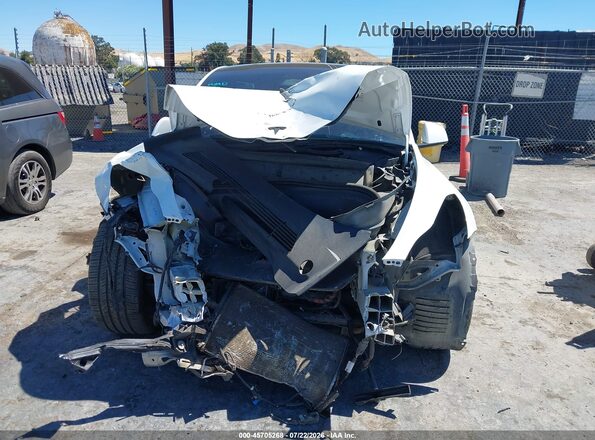 7SAYGDEF6PF822996 2023 TESLA MODEL Y White 