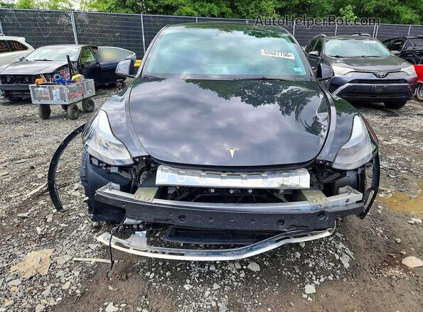 7SAYGDEF7RF043335 2024 TESLA MODEL Gray Դիմացի տեսք